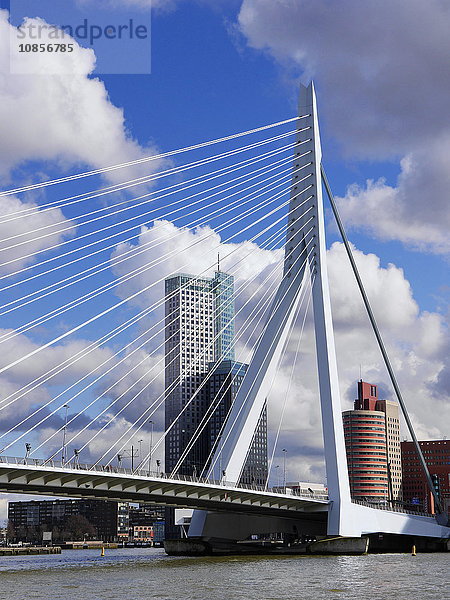 Erasmusbrücke  Rotterdam  Niederlande  Europa