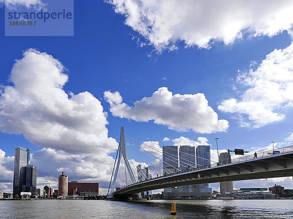 Erasmusbrücke  Rotterdam  Niederlande  Europa
