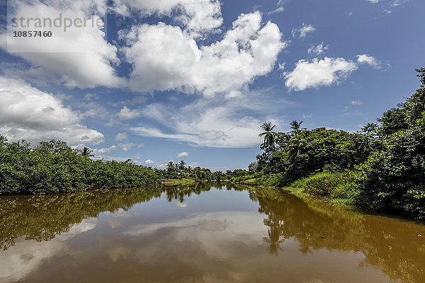 Nebenfluss des Rio Sierpe  Costa Rica  Mittelamerika  Amerika