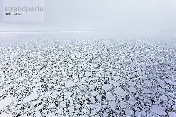 Eisschollen  Grönland  Europa