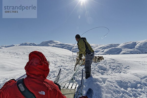 Schlittenhunde ziehen Schlitten  Sermilikfjord  Grönland  Europa