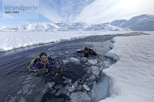 Zwei Taucher  Sermilikfjord  Grönland  Europa