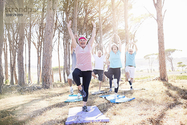 Ältere Erwachsene praktizieren Yoga im sonnigen Park
