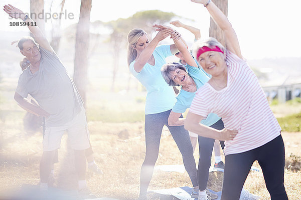 Ältere Erwachsene praktizieren Yoga im sonnigen Park