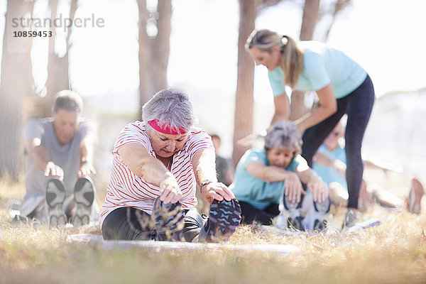 Ältere Erwachsene praktizieren Yoga im sonnigen Park