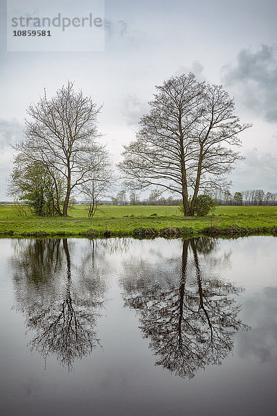 Bäume spiegeln sich im Fluss Hamme  Worpswede  Niedersachsen  Deutschland  Europa