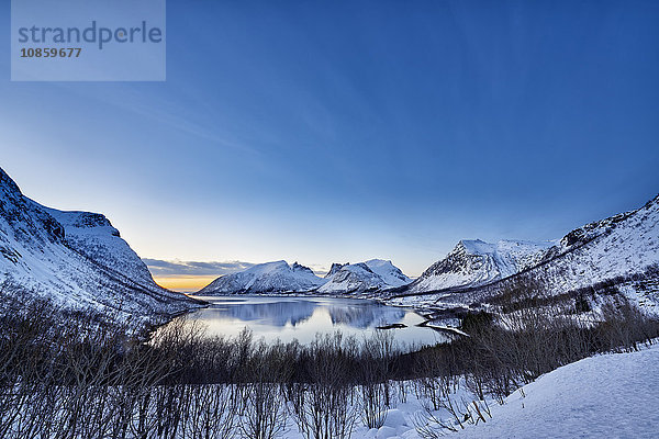 Winterlandschaft  Bergsfjorden  Troms  Norwegen  Europa