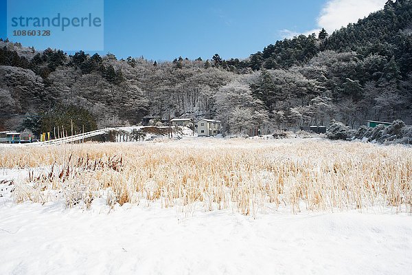 Schneebedeckte Landschaft  Kawaguchiko-See  Berg Fuji  Japan