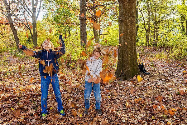 Zwei Brüder im Wald  die Herbstblätter werfen