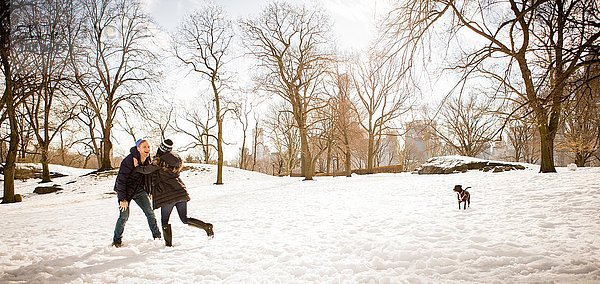 Junges Paar mit Hund spielt im verschneiten Central Park herum  New York  USA