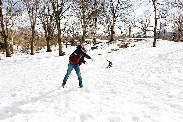 Junger Mann spielt mit Hund im verschneiten Central Park  New York  USA