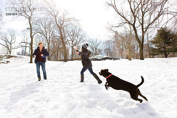 Junges Paar spielt mit Hund im verschneiten Central Park  New York  USA