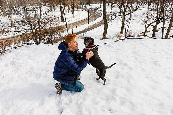 Junger Mann streichelt Hund im verschneiten Central Park  New York  USA