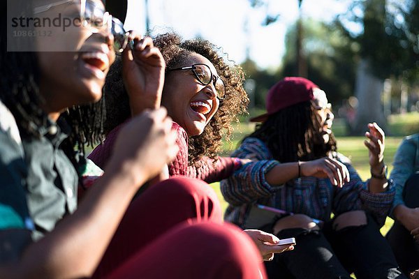 Gruppe von Freundinnen entspannt sich im Park  lacht