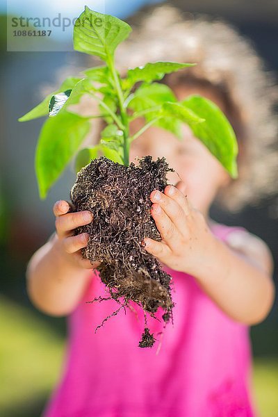 Junges Mädchen im Garten  hält Pflanze  Lesen zum Einpflanzen  Nahaufnahme