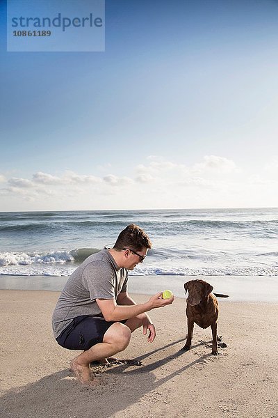 Mittelgroßer erwachsener Mann und Hund am Strand  Mann hält dem Hund den Ball hin