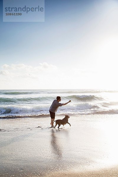 Mittelgroßer erwachsener Mann und Hund  die zusammen am Strand spielen