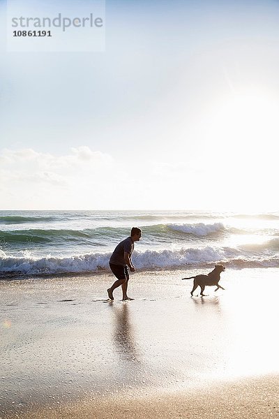 Mittelgroßer erwachsener Mann und Hund  die zusammen am Strand spielen