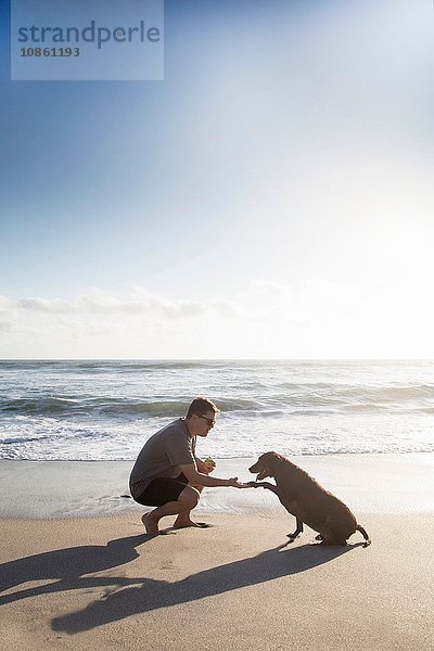 Mittelgroßer erwachsener Mann und Hund am Strand  Mann gibt Hund die Hand