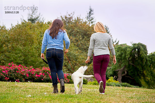 Zwei junge Frauen beim Hundespaziergang im Park  Rückansicht