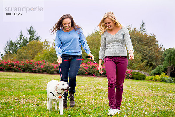 Zwei junge Frauen gehen im Park mit dem Hund spazieren