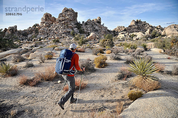 Wanderer erkundet die Mojave-Wüste  Joshua-Baum-Nationalpark  Kalifornien