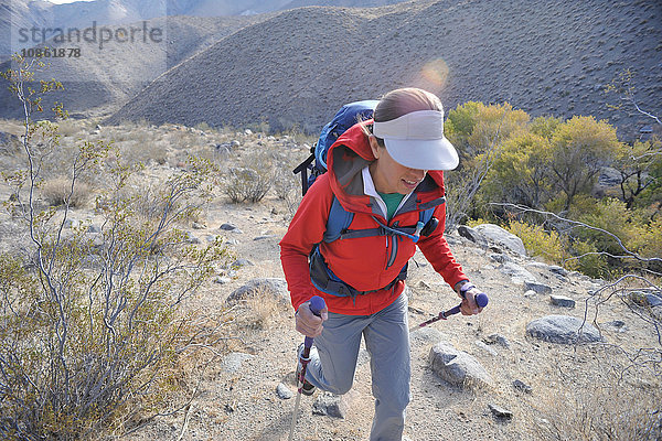 Wanderer erkundet Wüste  Cottonwood Canyon  Death Valley National Park  Kalifornien