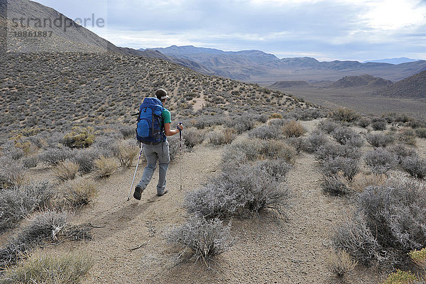 Wanderer erkundet Wüste  Cottonwood Canyon  Death Valley National Park  Kalifornien