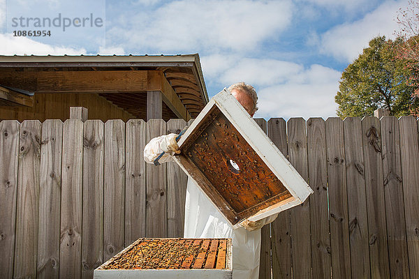 Mann entfernt Deckel vom Bienenstock