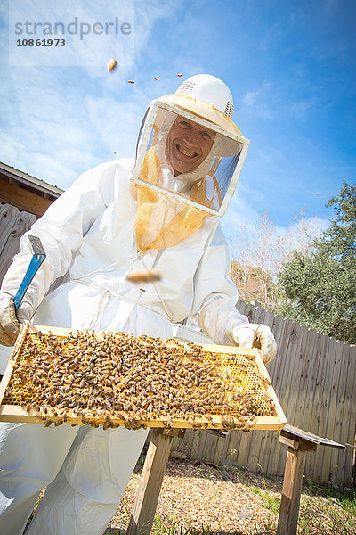 Porträt eines Imkers  der einen Bienenstock hält  mit Bienen