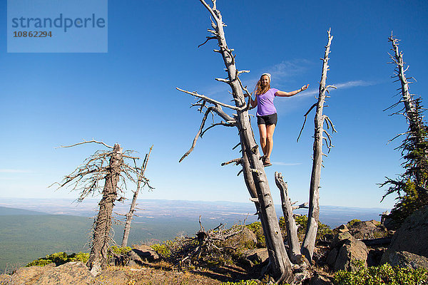 Junge Frau steht auf totem Baum  Black Buttes  Oregon  USA