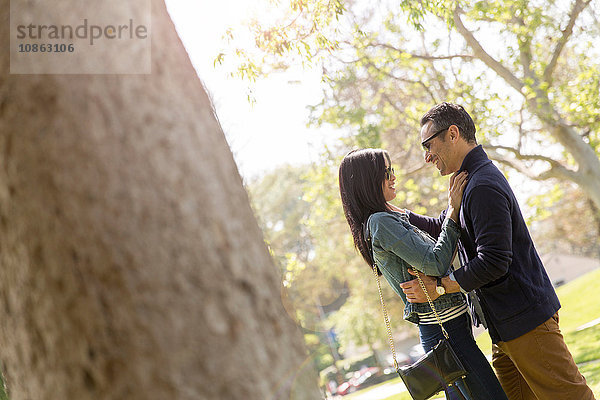 Ein Paar im Park umarmt sich von Angesicht zu Angesicht und lächelt
