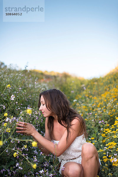 Frau im Feld der Wildblumen