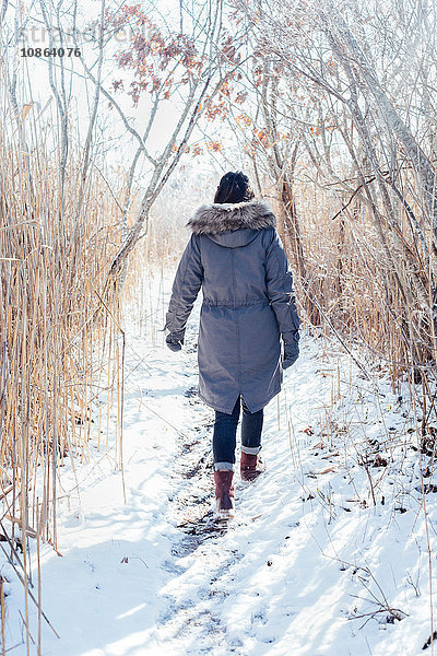 Ganzflächige Rückansicht einer Frau im Wintermantel beim Gang durch die verschneite Landschaft