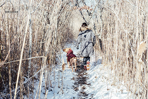 Ganzflächige Rückansicht einer Frau mit Hund beim Spaziergang in verschneiter Landschaft