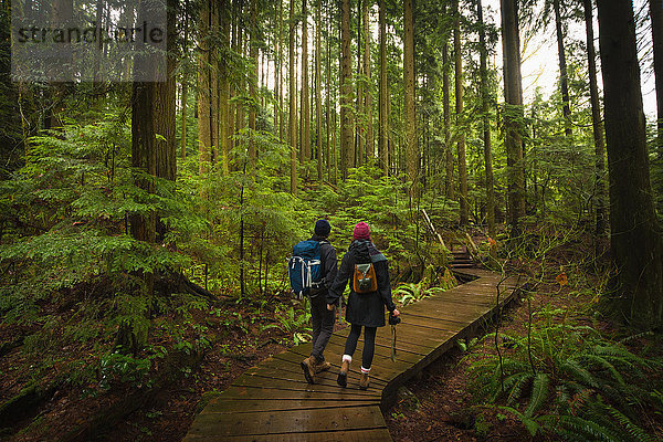 Ehepaar im Wald auf einem Holzsteg  Lynn Canyon Park  Nordvancouver  Britisch-Kolumbien  Kanada