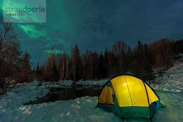 Aurora borealis  Nordlicht über dem Zelt mit Laterne beleuchtet  nahe Chena Resort  nahe Fairbanks  Alaska