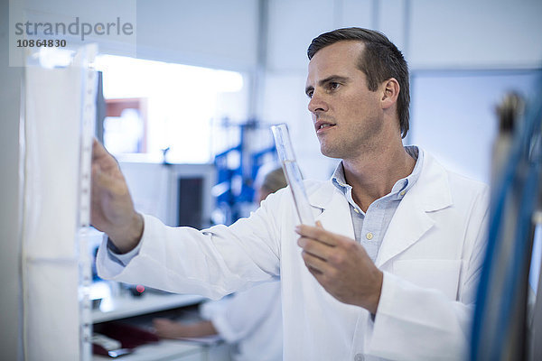 Mittelgroßer erwachsener Mann  der die Laborausrüstung einstellt und ein Reagenzglas hält