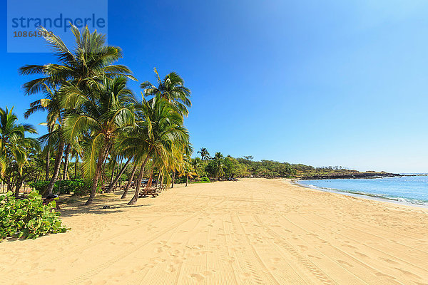 Goldener Strand und Palmen im Hulopo'e Beach Park  Lanai Island  Hawaii  USA