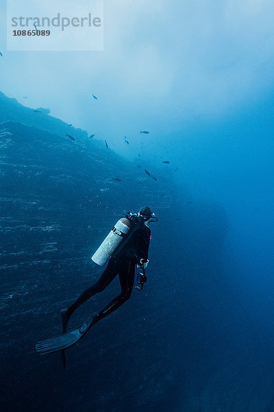 Rückansicht eines Tauchers an einer Unterwasser-Felswand