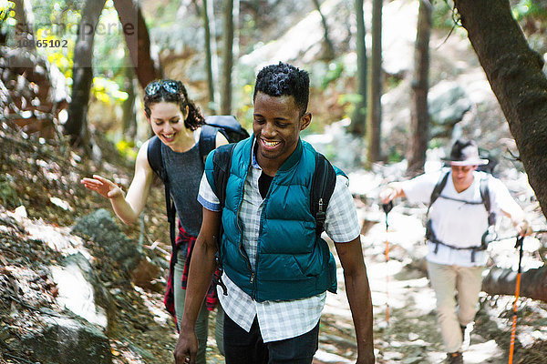 Drei junge erwachsene Wanderer wandern durch Waldgebiete  Arcadia  Kalifornien  USA