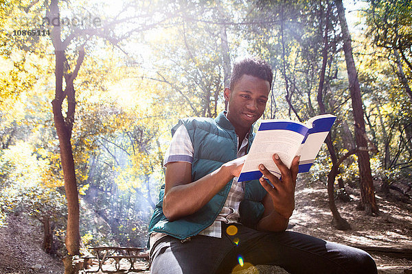 Junger männlicher Wanderer liest Reiseführer im Wald  Arcadia  Kalifornien  USA