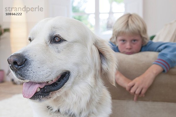 Nahaufnahme eines Haushundes  im Hintergrund ein Junge  der sich auf eine Couch lehnt