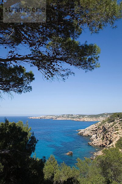Küstenlinie  Ibiza  Spanien