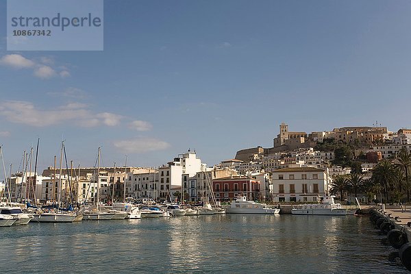 Ansicht von Dalt Vila  Kathedrale und Hafen  Ibiza-Stadt  Ibiza