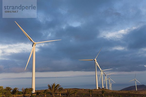 Windturbinen  Haria  Lanzarote  Kanarische Inseln  Teneriffa  Spanien