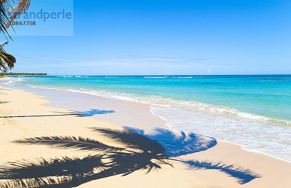 Palmenschatten am Strand  Dominikanische Republik  Karibik