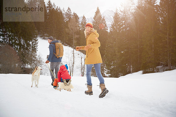 Rückansicht von Eltern  die ihre Söhne auf einem Schlitten in einer verschneiten Landschaft ziehen  Elmau  Bayern  Deutschland
