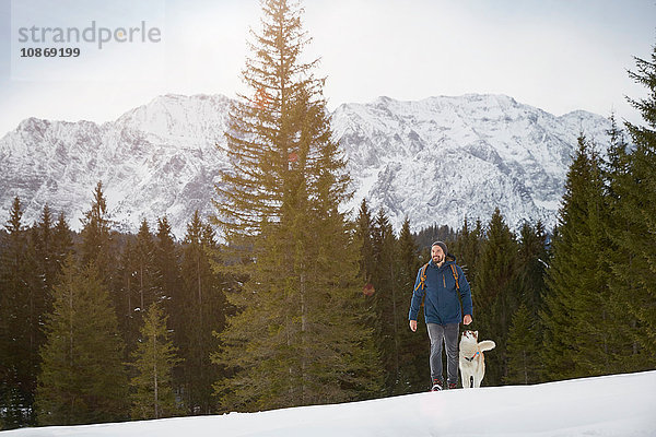 Junger Mann geht mit Husky in schneebedeckter Landschaft bergauf  Elmau  Bayern  Deutschland