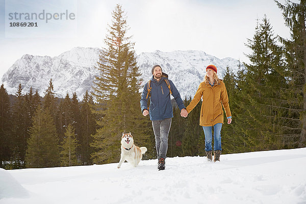 Husky-Paar zu Fuß in schneebedeckter Landschaft  Elmau  Bayern  Deutschland